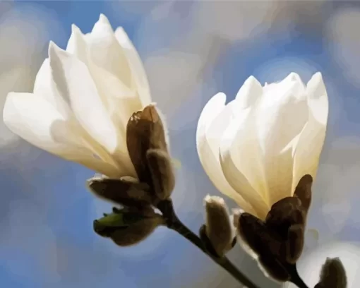 Anise Magnolia Blossom Diamond Painting