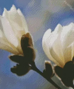 Anise Magnolia Blossom Diamond Painting