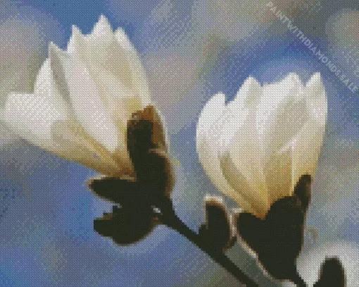 Anise Magnolia Blossom Diamond Painting