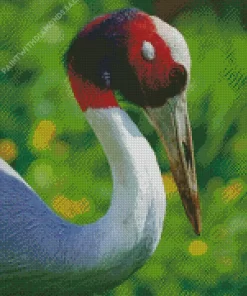 Antigone Genus Bird Diamond Painting