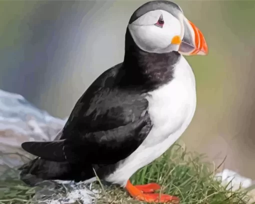 Atlantic Puffin Diamond Painting