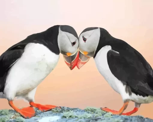 Atlantic Puffin Pair Diamond Painting