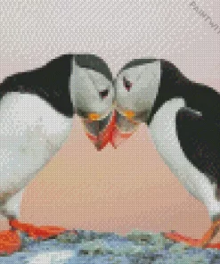 Atlantic Puffin Pair Diamond Painting