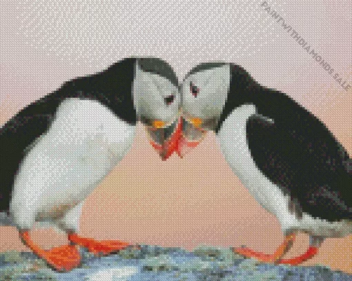 Atlantic Puffin Pair Diamond Painting