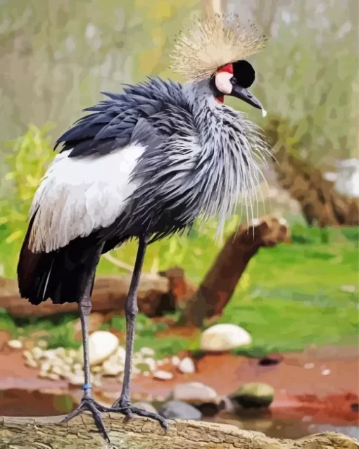 Balearica Genus Bird Diamond Painting