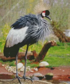 Balearica Genus Bird Diamond Painting