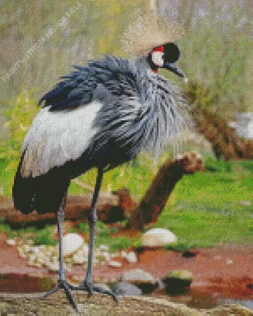 Balearica Genus Bird Diamond Painting