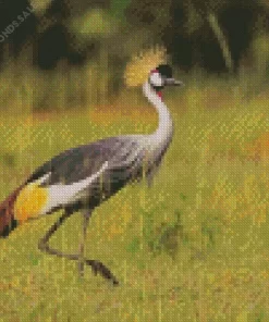 Balearica Genus Crane Diamond Painting