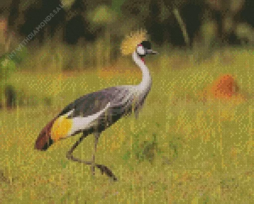 Balearica Genus Crane Diamond Painting