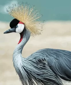 Balearica Genus Crane Bird Diamond Painting