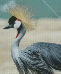 Balearica Genus Crane Bird Diamond Painting