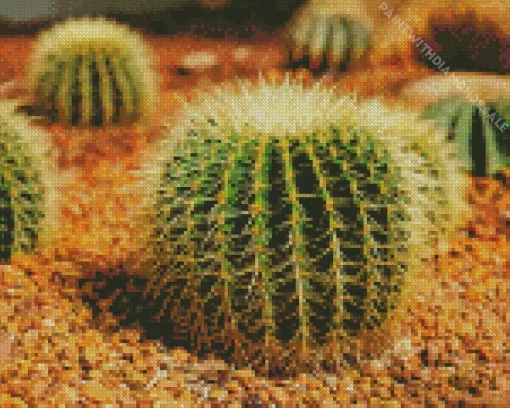 Barrel Cactus Diamond Painting