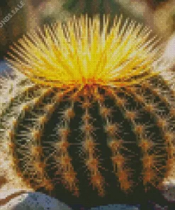 Barrel Cactus Plant Diamond Painting