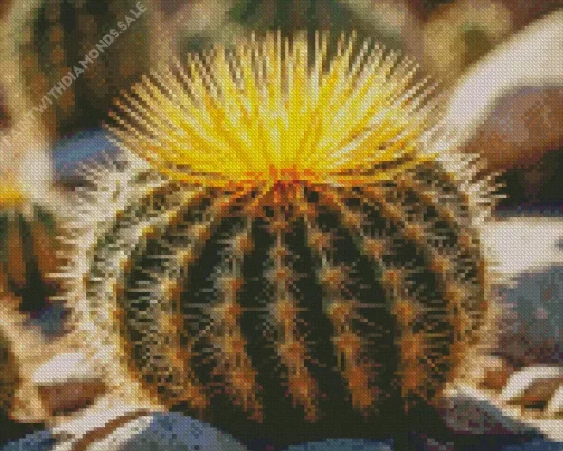 Barrel Cactus Plant Diamond Painting