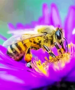 Bee On A Purple Flower Diamond Painting