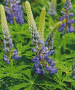 Bigleaf Lupine Diamond Painting