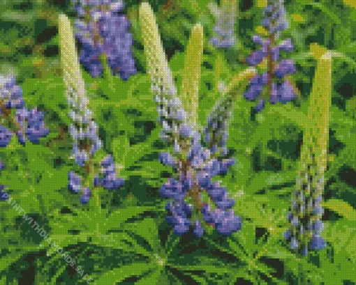 Bigleaf Lupine Diamond Painting