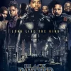 Black Panther Movie Poster Diamond With Numbers