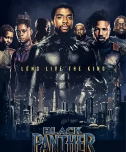 Black Panther Movie Poster Diamond With Numbers