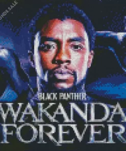 Black Panther Wakanda Forever Poster Diamond Paintings