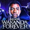 Black Panther Wakanda Forever Poster Diamond With Numbers