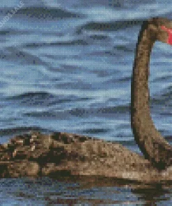 Black Swan Diamond Painting