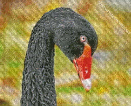 Black Swan Close Up Diamond Painting