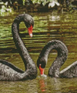 Black Swan Couple Diamond Painting