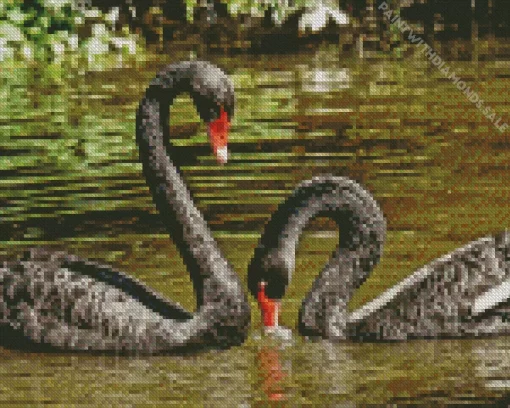 Black Swan Couple Diamond Painting