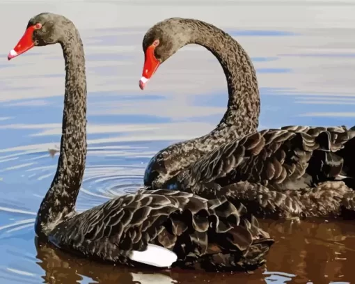 Black Swan Pair Diamond Painting