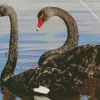 Black Swan Pair Diamond Painting