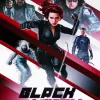 Black Widow Action Movie Diamond Paints