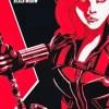 Black Widow Illustration Poster Diamond Paints