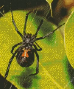 Black Widow Spider Diamond Painting