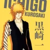 Bleach Ichigo Kurosaki Poster Diamond Paintings