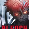 Bleach Poster Diamond Paintings