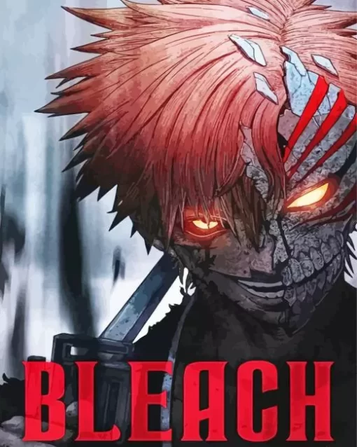 Bleach Poster Diamond Paintings