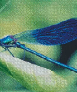 Blue Dragonfly Close Up Diamond Painting