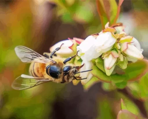 Blueberry Bees Diamond Painting