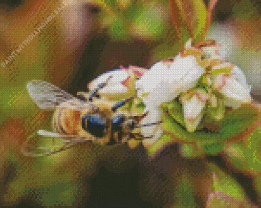 Blueberry Bees Diamond Painting