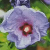 Bluebird Hibiscus Plant Diamond Painting