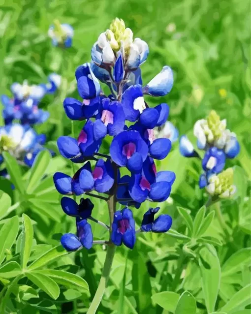 Bluebonnet Lupine Diamond Painting