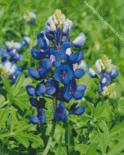 Bluebonnet Lupine Diamond Painting