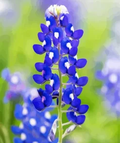 Bluebonnet Lupine Close Up Diamond Painting