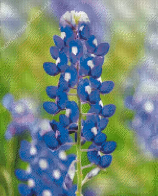 Bluebonnet Lupine Close Up Diamond Painting