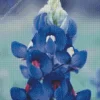 Bluebonnet Lupine Flower Diamond Painting