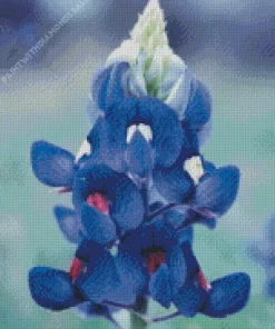 Bluebonnet Lupine Flower Diamond Painting