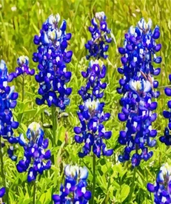 Bluebonnet Lupine Plant Diamond Painting