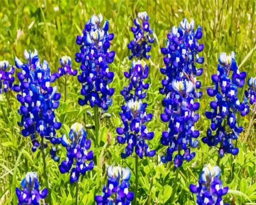 Bluebonnet Lupine Plant Diamond Painting