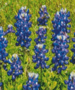 Bluebonnet Lupine Plant Diamond Painting